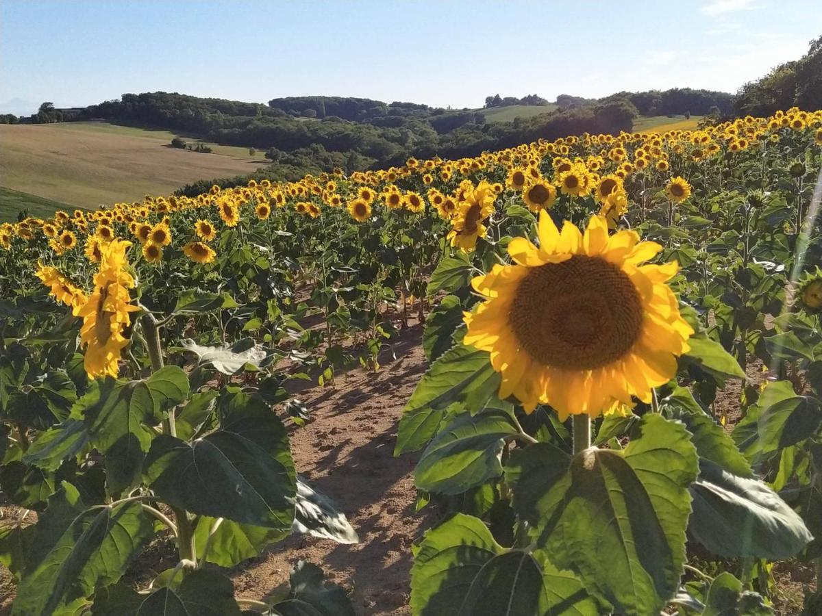 Les Gites De Campardon Monties ภายนอก รูปภาพ